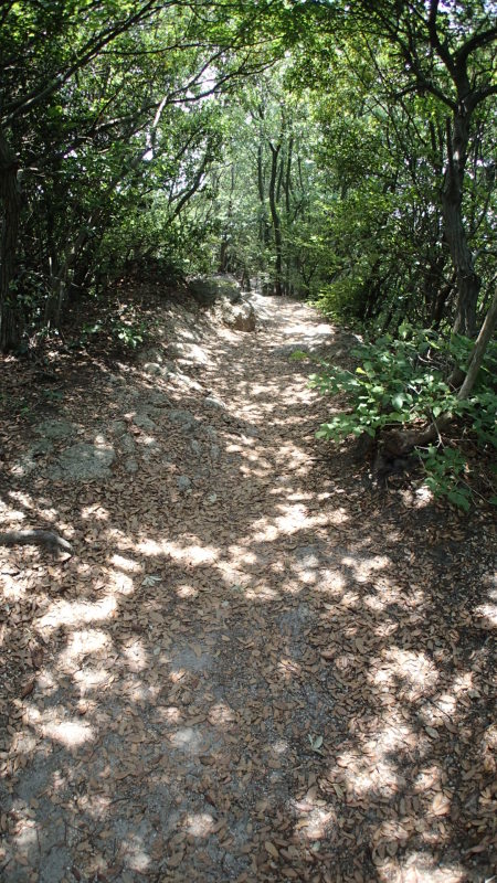 e0024081_17050442.jpg