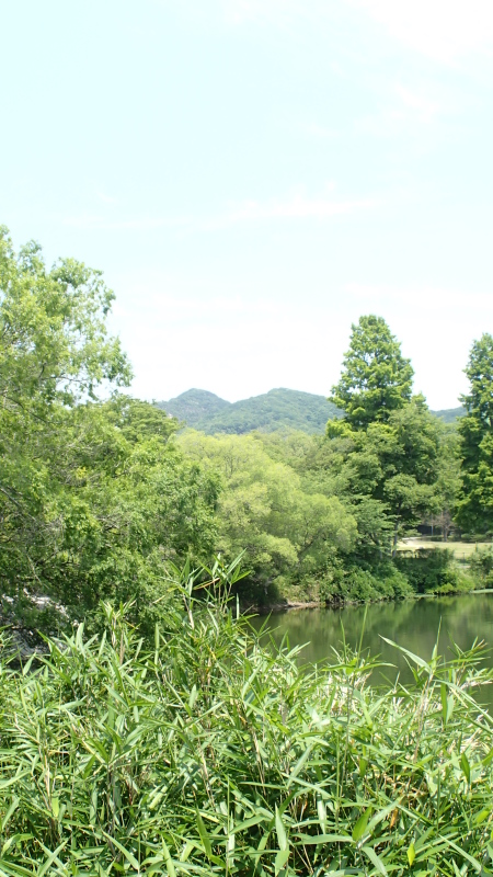 e0024081_17104355.jpg