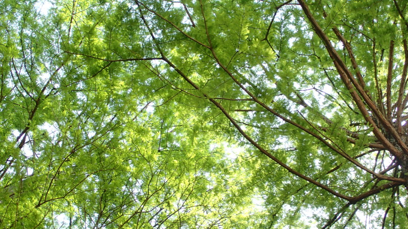 e0024081_17120144.jpg