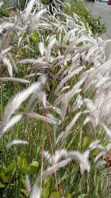 e0024081_17180906.jpg