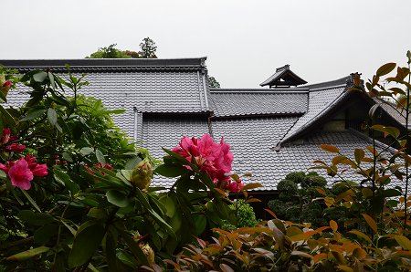 c0229483_165166.jpg