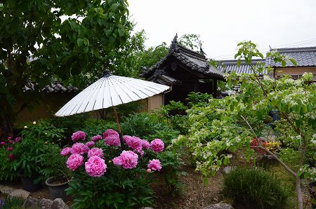 c0229483_184542.jpg