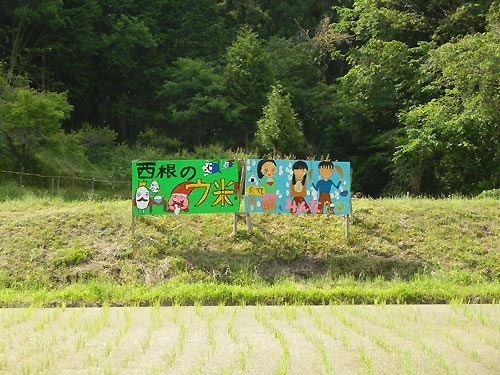 5月30日の田んぼ(月光原小・西根小)_d0247484_1720585.jpg