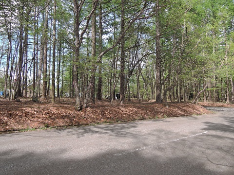 野辺山高原の地盤調査だより^^_a0211886_1364166.jpg