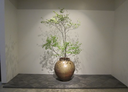 展示会のお知らせ【白金】５月３１日（土）～６月２８日（土）_d0208992_1547531.jpg