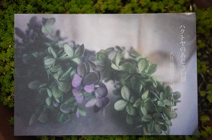 6月のイベント情報_f0226293_718794.jpg