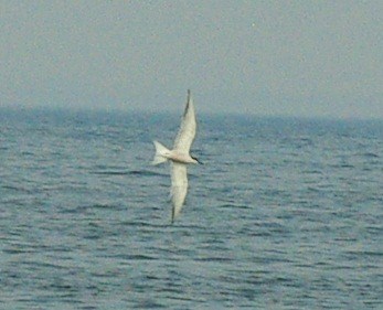 b0028598_191052100.jpg