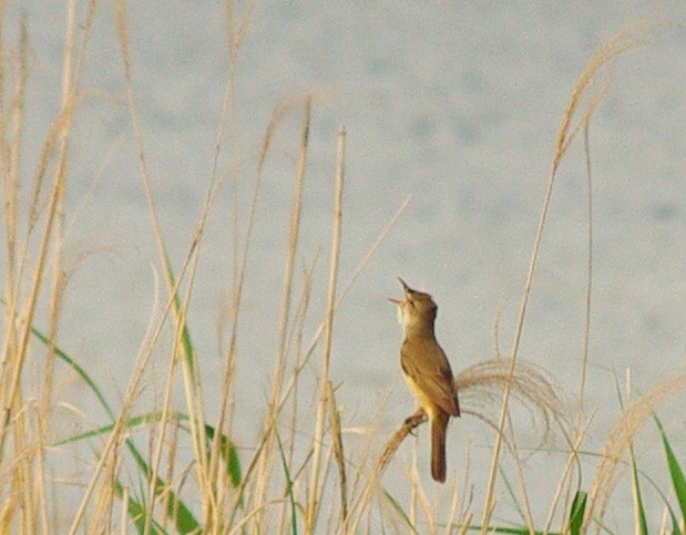 b0028598_191135100.jpg