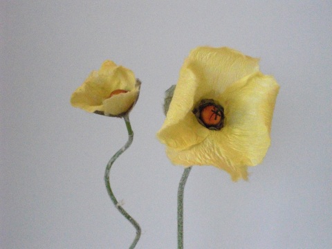 花紙絵 手漉き和紙で作る花の教室 Hanatsudoi