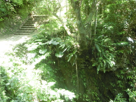 a0203003_10132496.jpg