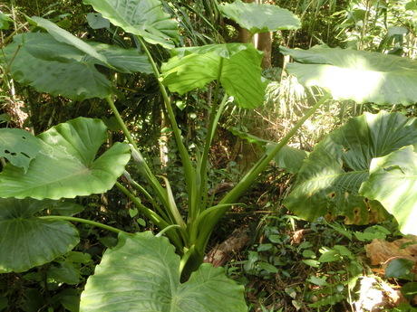 a0203003_10134019.jpg