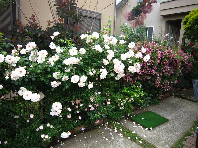 a0141408_9175657.jpg