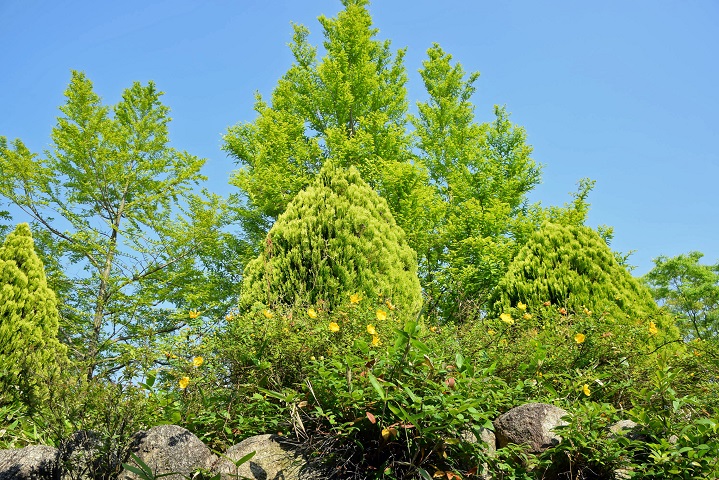 夏の暑さの到来した徳島にあっても、立ち止まることなく前進するポロロの「快進撃」_a0151913_21255096.jpg