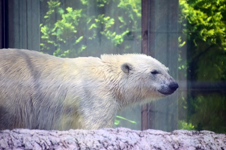 a0151913_2282997.jpg