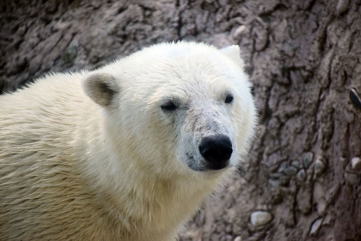 a0151913_23371625.jpg