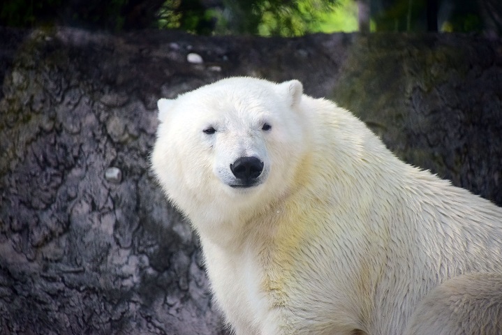 a0151913_23382229.jpg