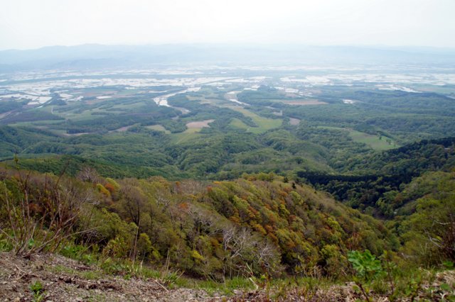 2014年5月21日(水)　樺戸山(890m)_c0171816_16355823.jpg