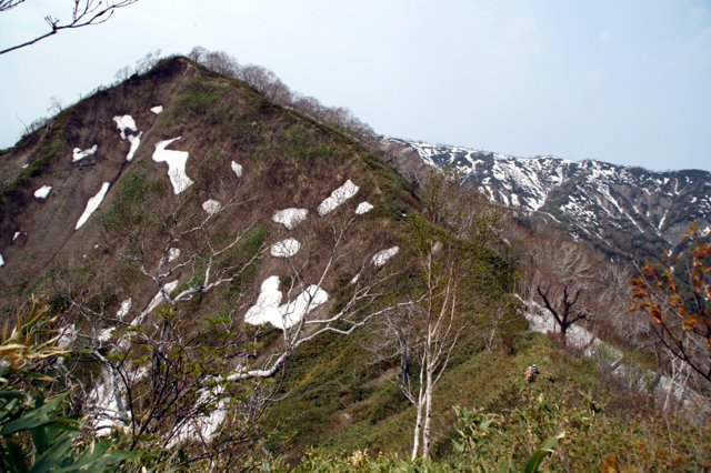 2014年5月21日(水)　樺戸山(890m)_c0171816_16405498.jpg