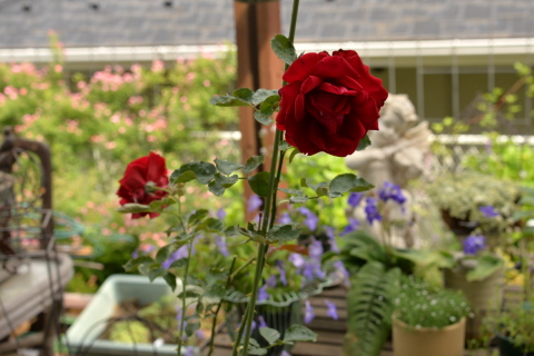e0335926_21582510.jpg