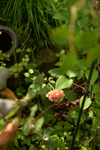 e0335926_22015284.jpg