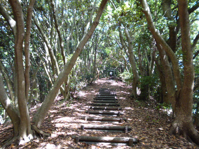 a0220528_22352355.jpg
