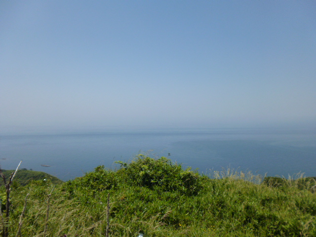 a0220528_22391832.jpg