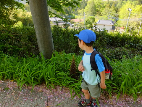 甥っ子ちゃんと陣馬山　〜５月４日(日)〜　その①_b0281732_744134.jpg