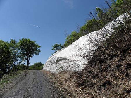 放牧地は爽やかな風。岩泉短角牛は森の中。_b0206037_215252.jpg