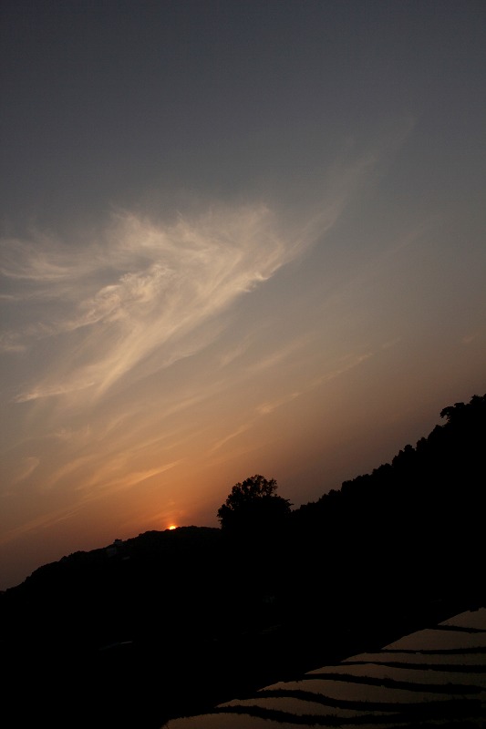 d0313140_18115.jpg