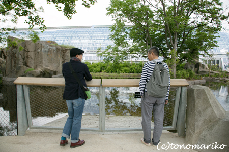 糸井さんの「パリの動物園とオレたちの歯」　パリ4日目_c0024345_17122996.jpg