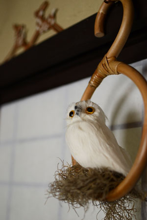 山場。_d0227246_2030987.jpg