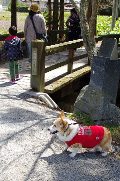 f0045846_11584080.jpg