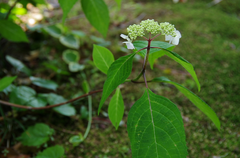 a0067056_15305416.jpg