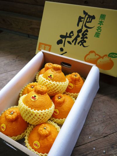 ザ・みかん みかんの花が咲くまで!その1(みかんの果樹の引っ越しの話《後編》)_a0254656_17384222.jpg