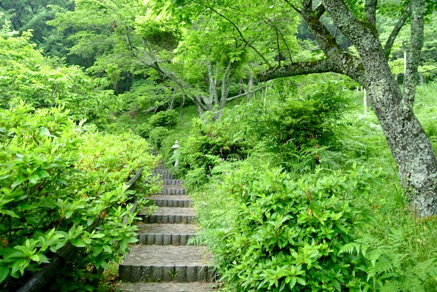 石屋形羅漢山磨崖仏と川棚の菖蒲園_a0171959_2036325.jpg