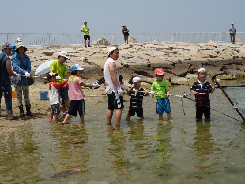 『第７回大阪湾生き物一斉調査』in せんなん里海公園人工磯浜砂浜海岸_c0108460_22260599.jpg