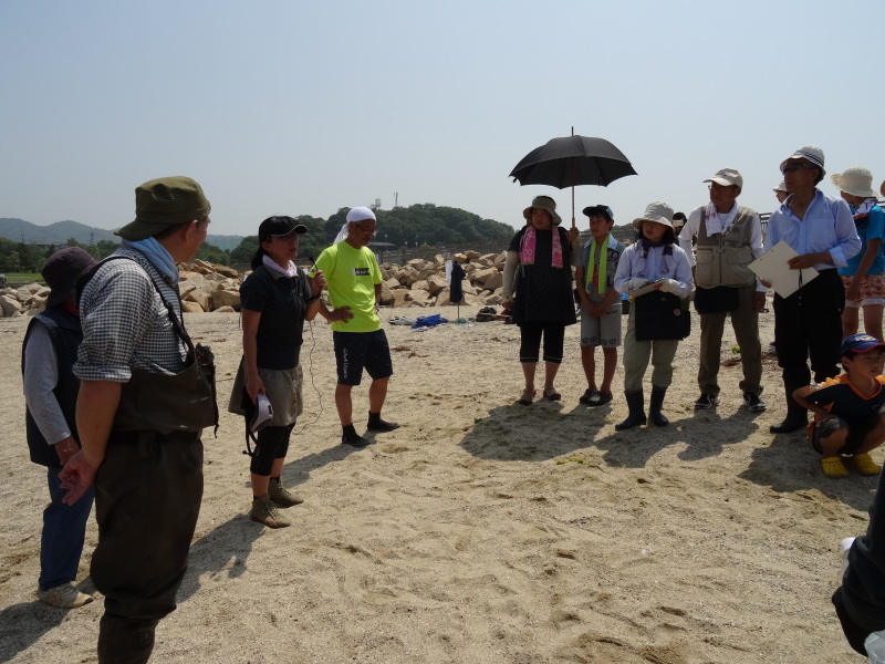 『第7回大阪湾生き物一斉調査』in せんなん里海公園人工磯浜砂浜海岸 by (TATE-misaki)_c0108460_22275684.jpg