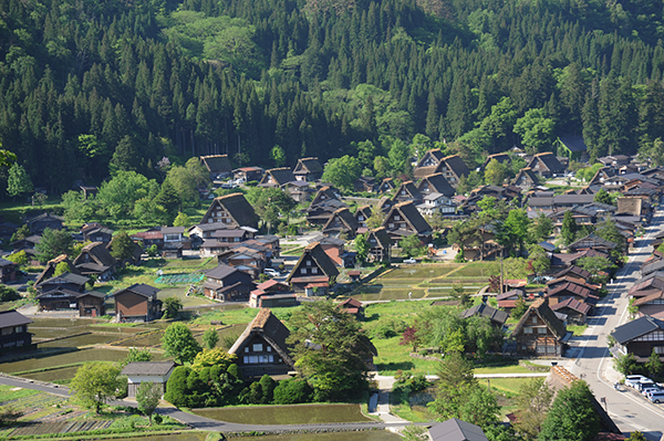 a0208066_2061298.jpg