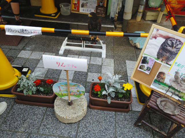 f0200477_2335994.jpg