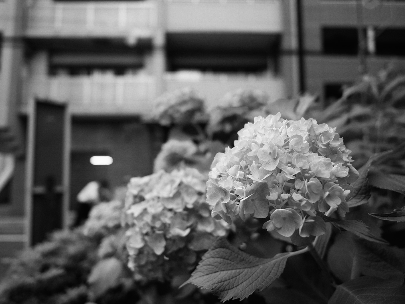 f0121181_0551665.jpg