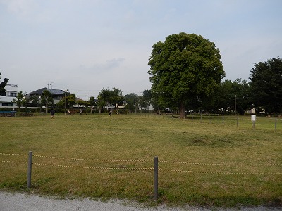 狛江前原公園（通称・トンボ公園）_a0185783_9211327.jpg