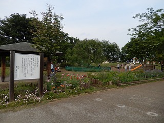 狛江前原公園（通称・トンボ公園）_a0185783_926367.jpg