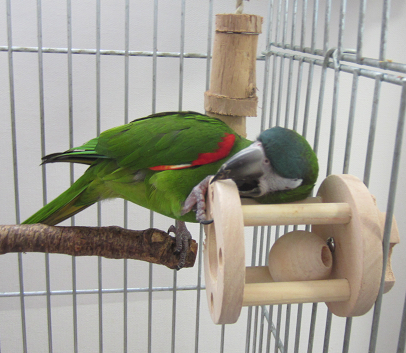 f0234590_1114373.png