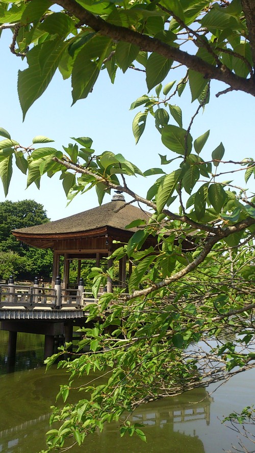 d0033492_10124356.jpg