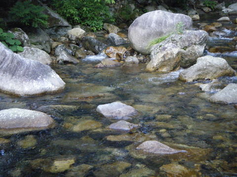 b0304294_19564910.jpg