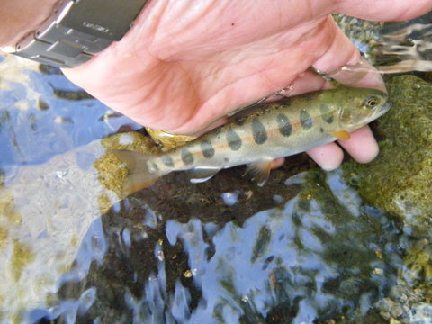 b0304294_202670.jpg