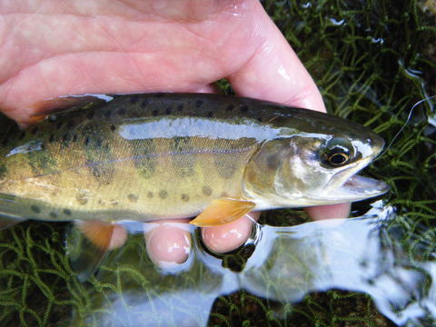 b0304294_2072923.jpg