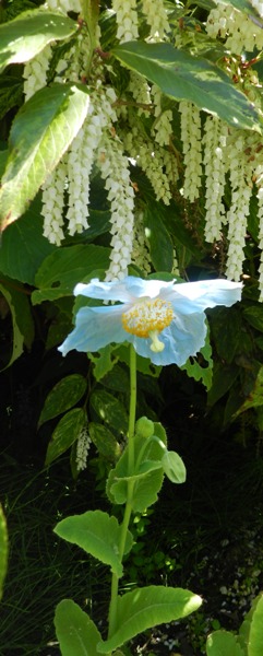 e0033301_2157429.jpg