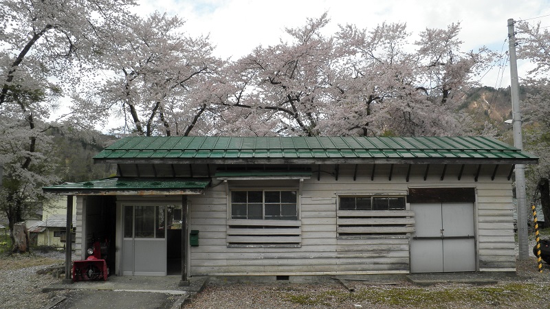 只見線会津中川駅　桜の季節に訪れました（H26.05.01未確認で進行形探訪時に）_e0304702_06432769.jpg