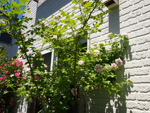 c0117007_2202658.jpg